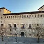 Vive Zaragoza VIII